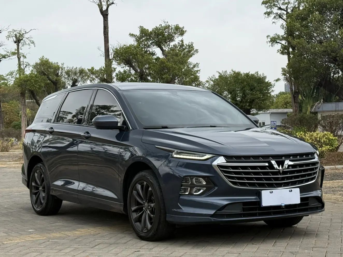 Wuling Capgemini Victory  из Китая