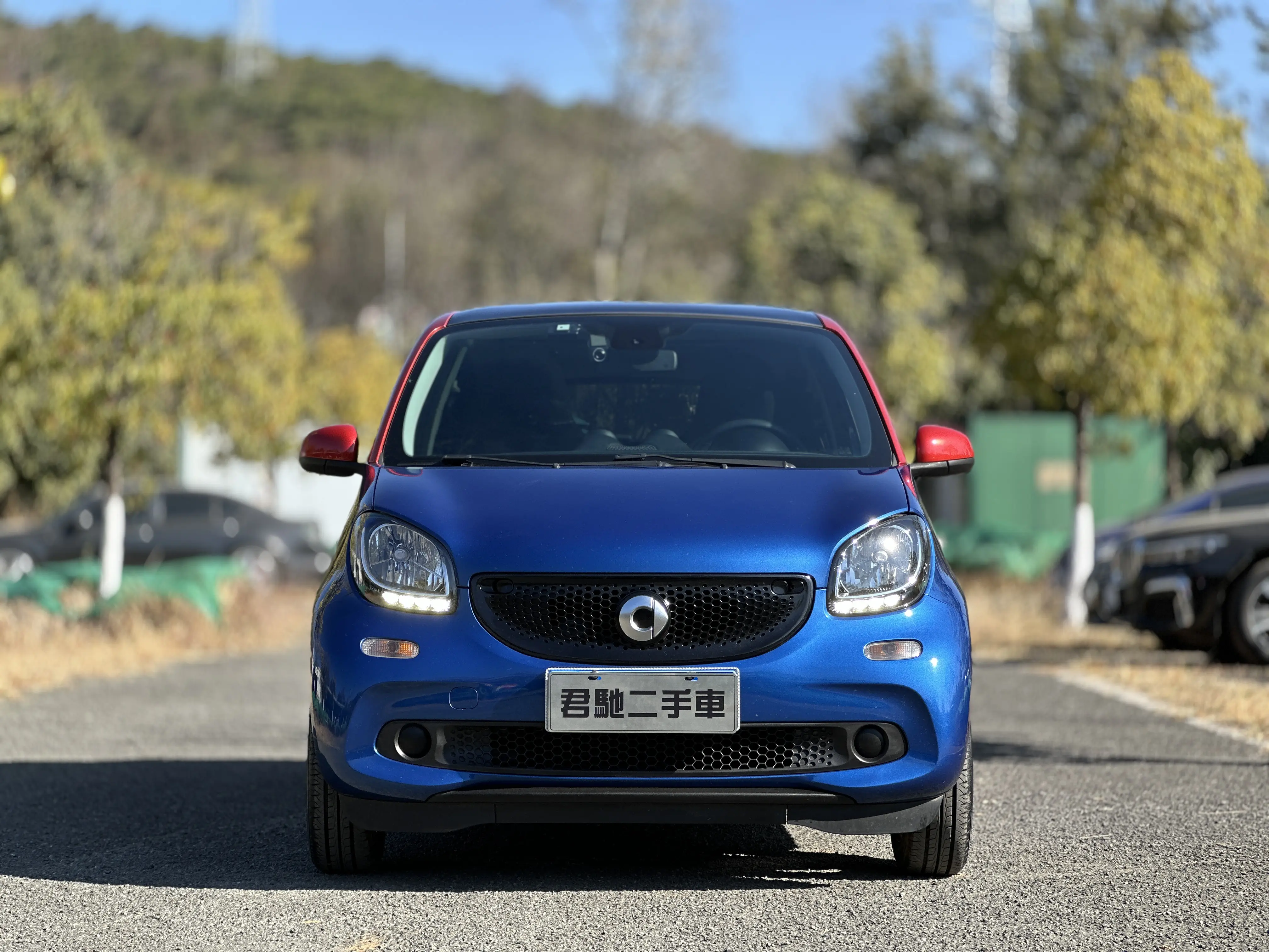 Smart forfour  из Китая