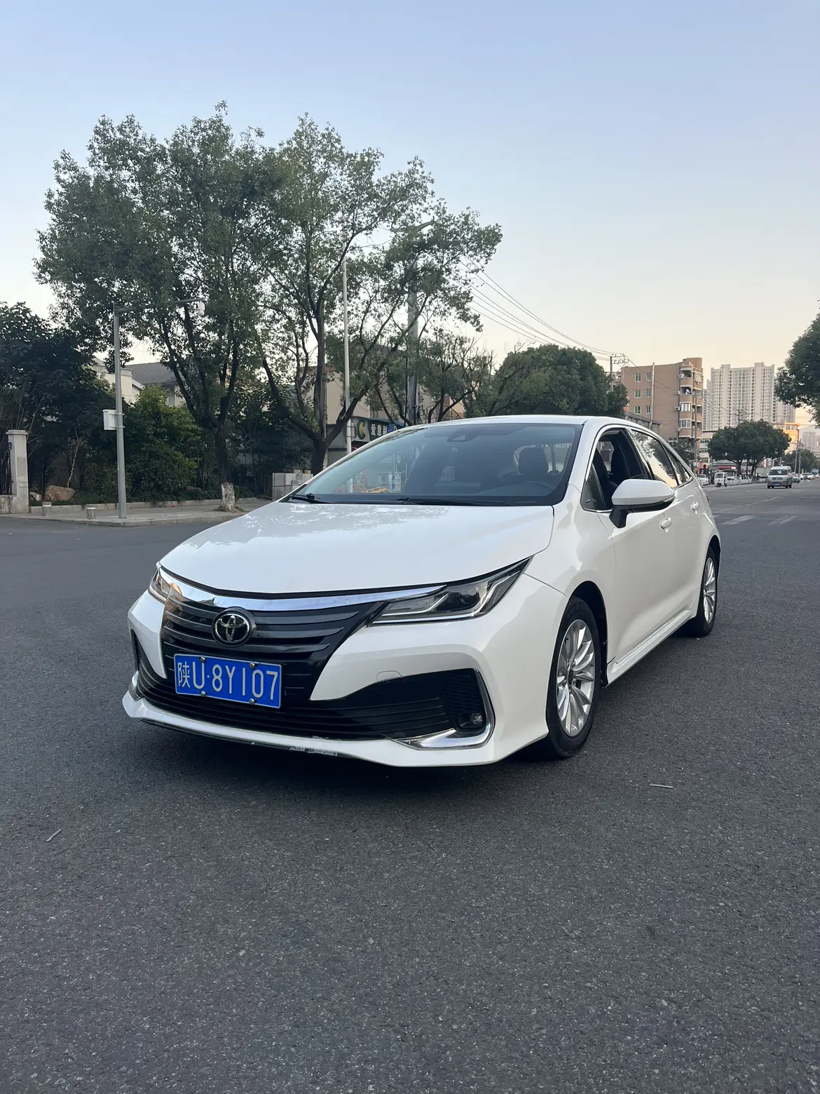 Toyota Asiatic lion