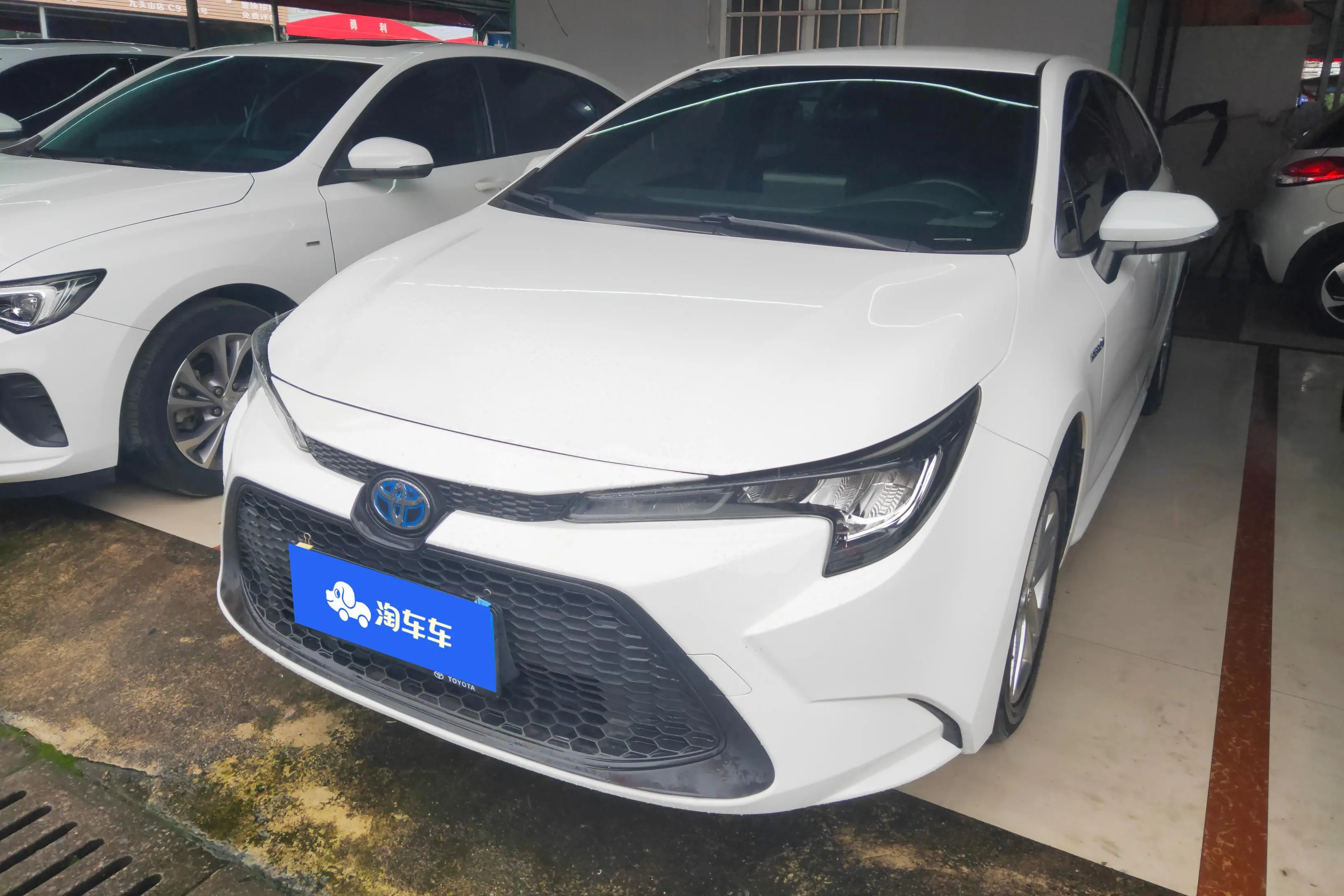 Toyota Levin
