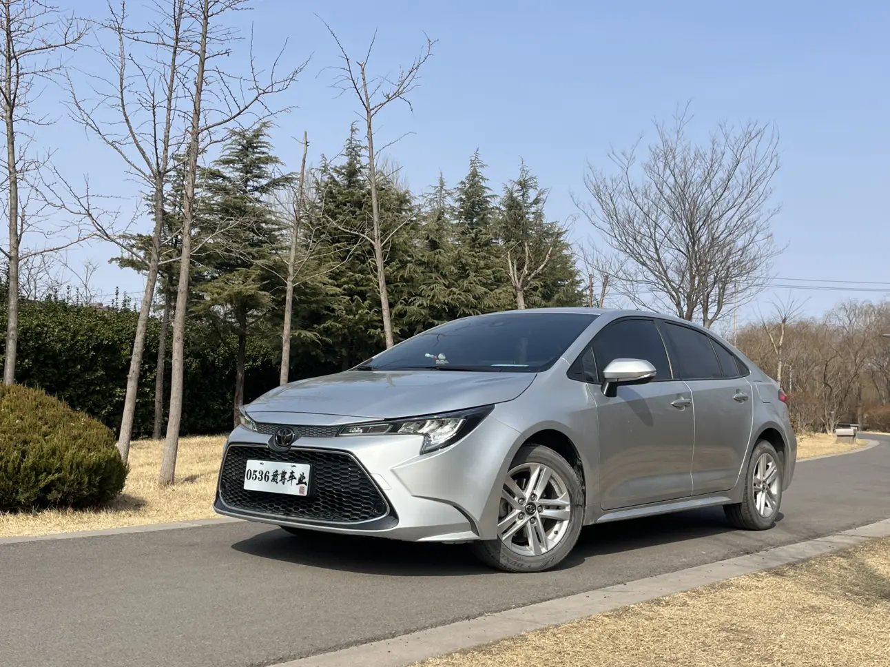 Toyota Levin