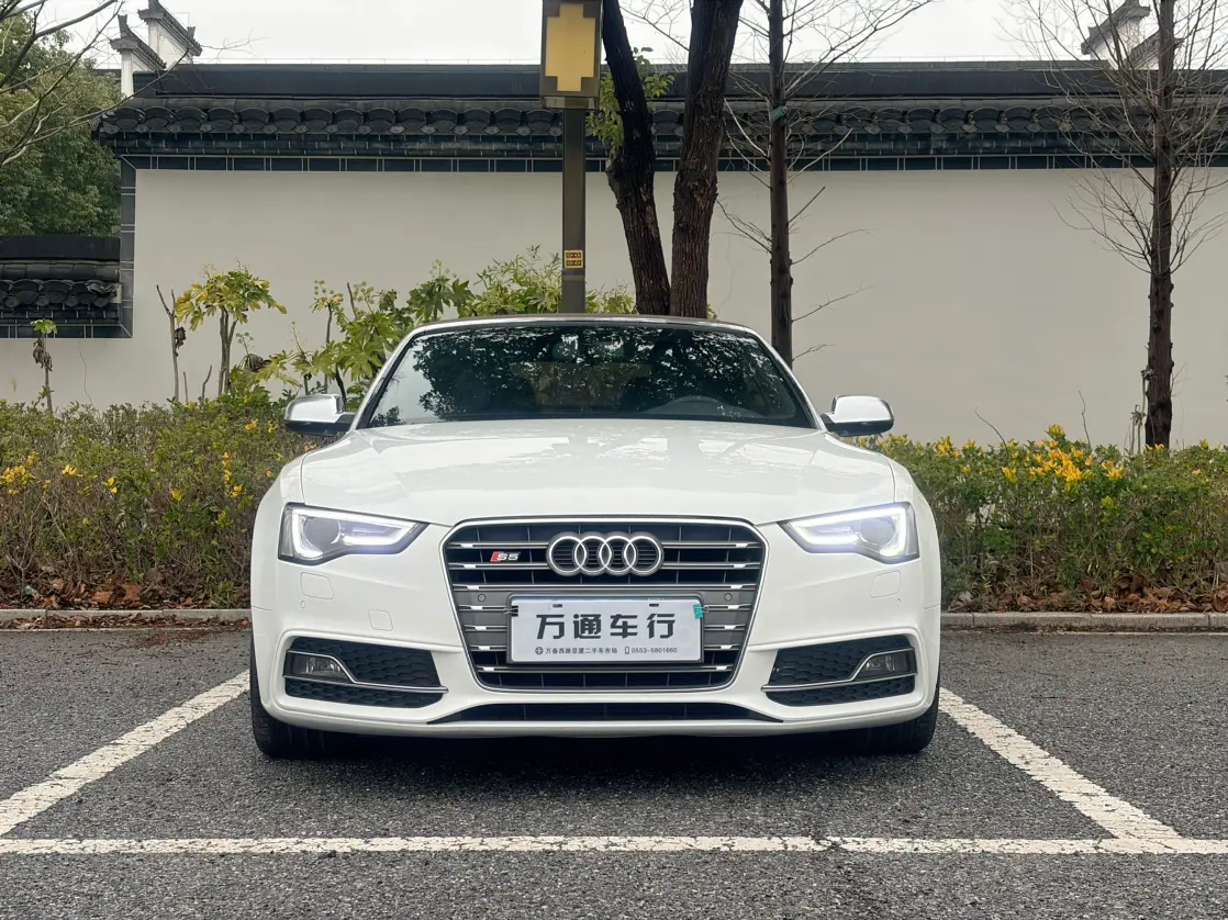 Audi S5  из Китая