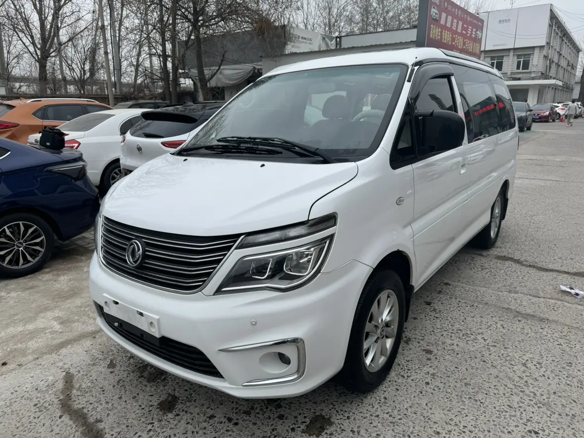 Forthing Lingzhi  из Китая