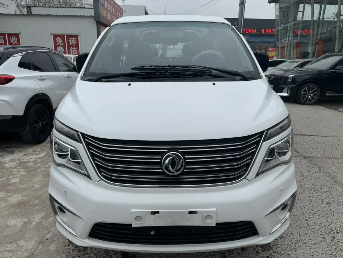 Forthing Lingzhi  из Китая