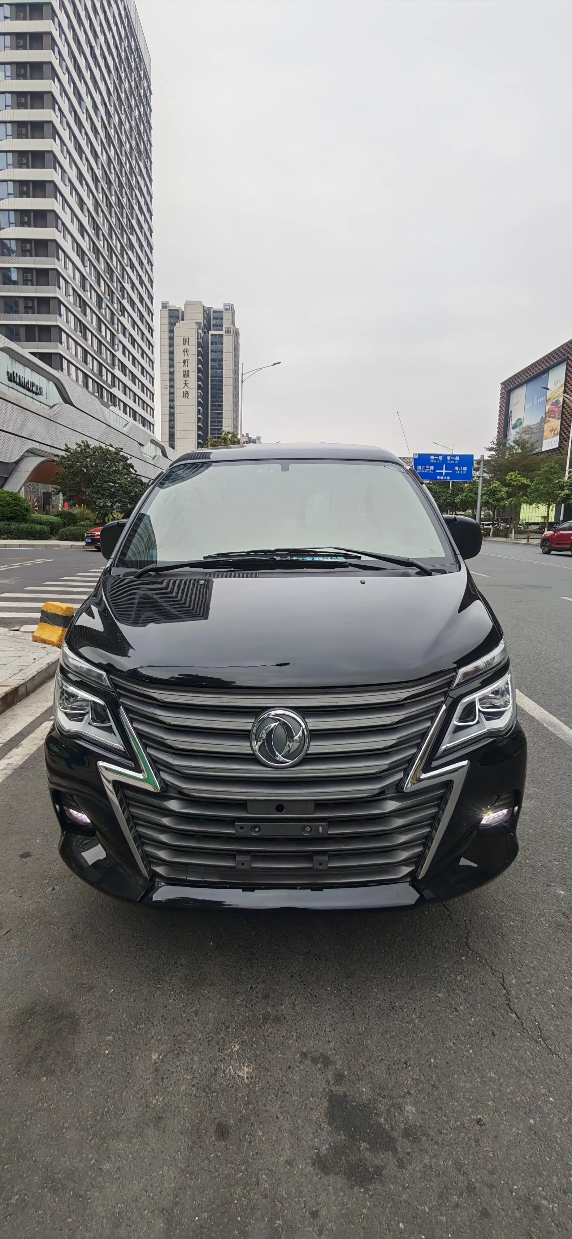 Forthing Lingzhi  из Китая