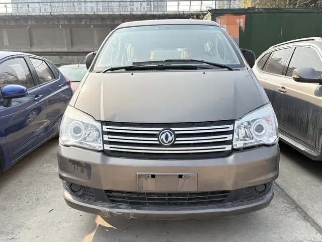 Forthing Lingzhi  из Китая