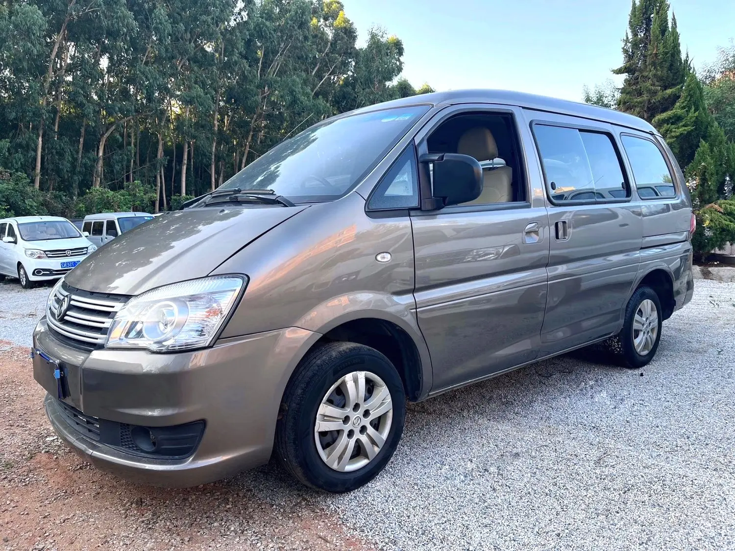 Forthing Lingzhi  из Китая