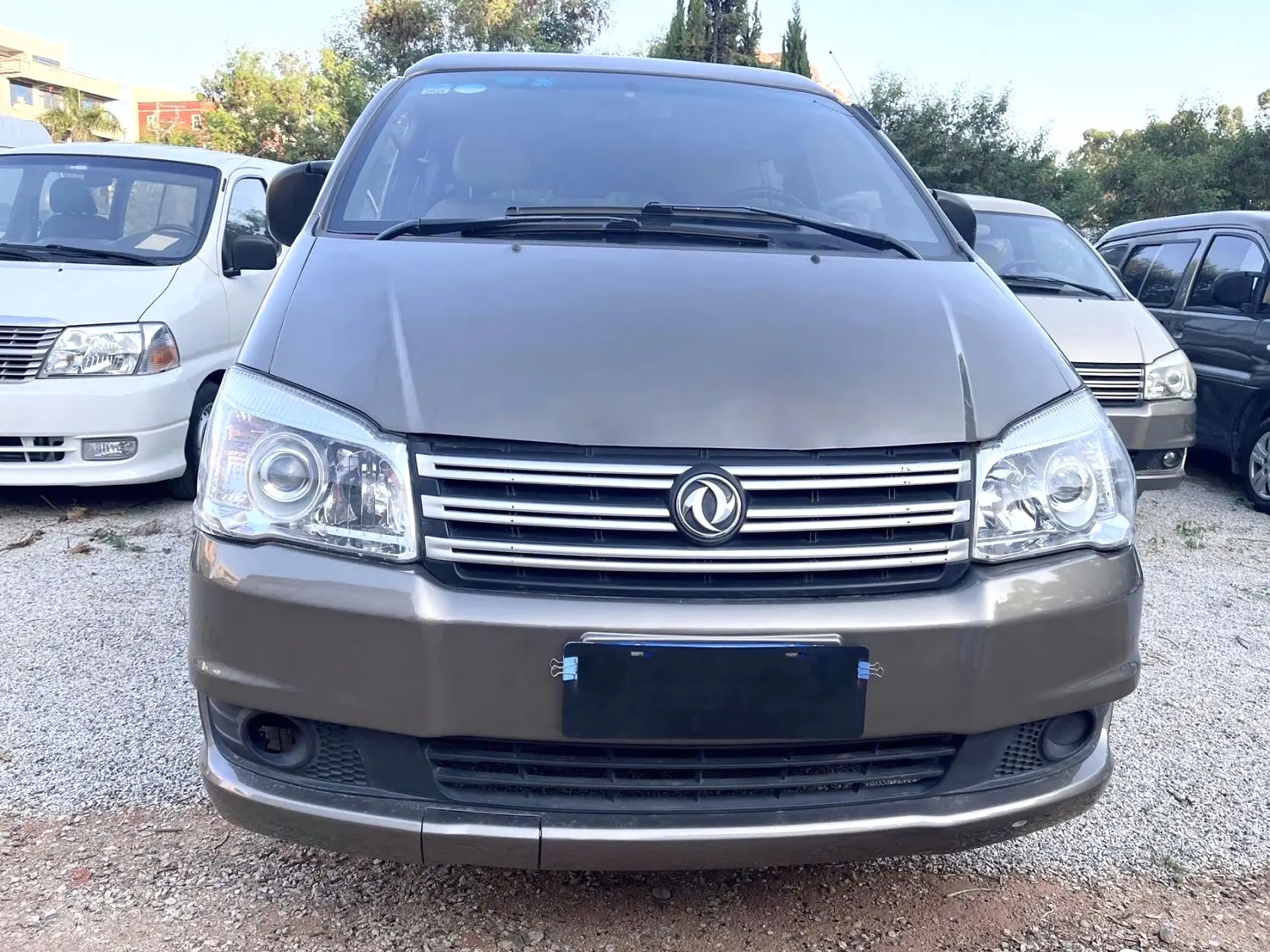 Forthing Lingzhi  из Китая