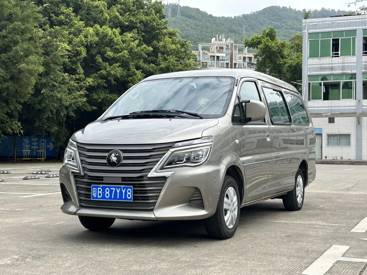 Forthing Lingzhi  из Китая