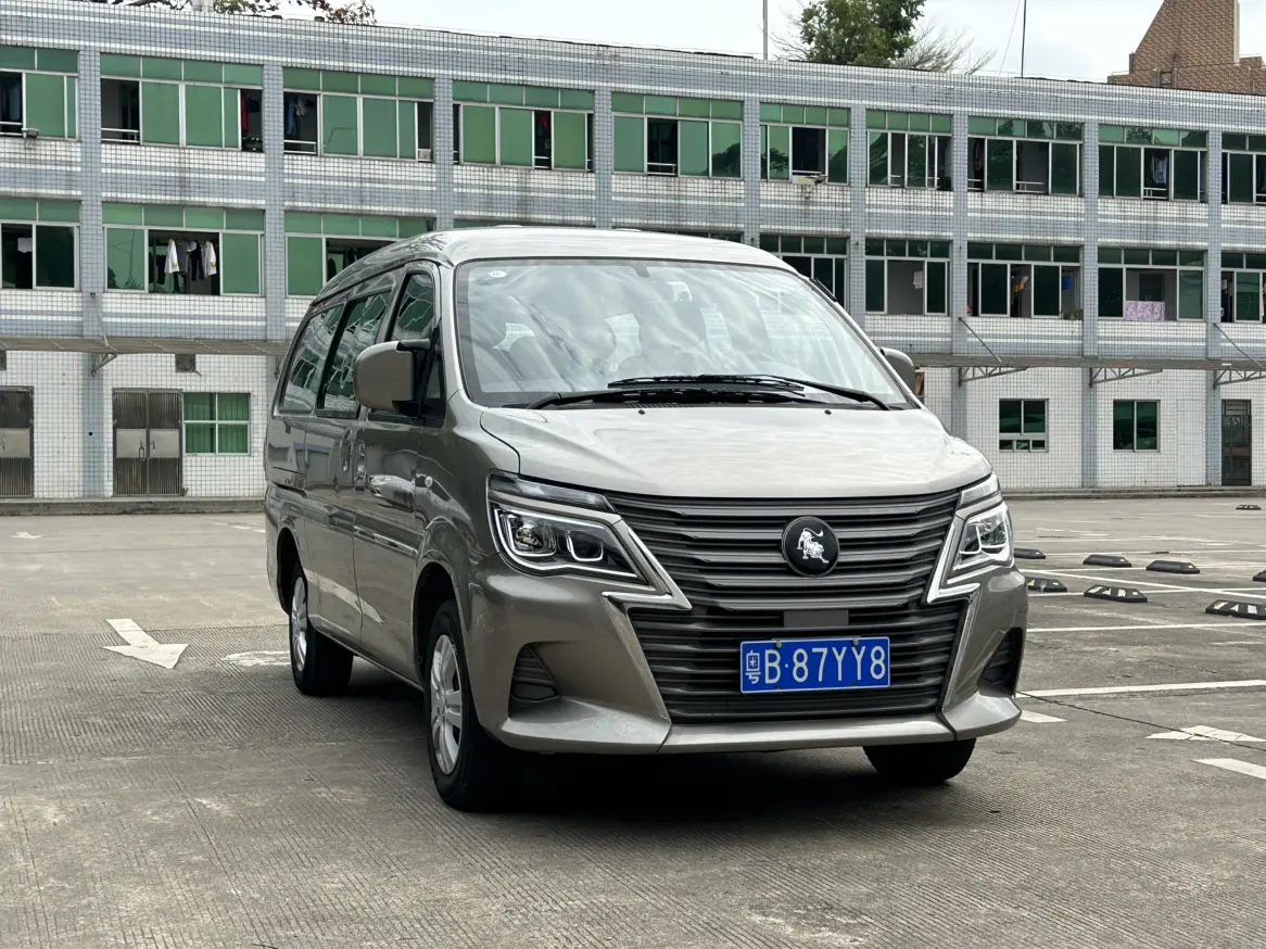 Forthing Lingzhi  из Китая