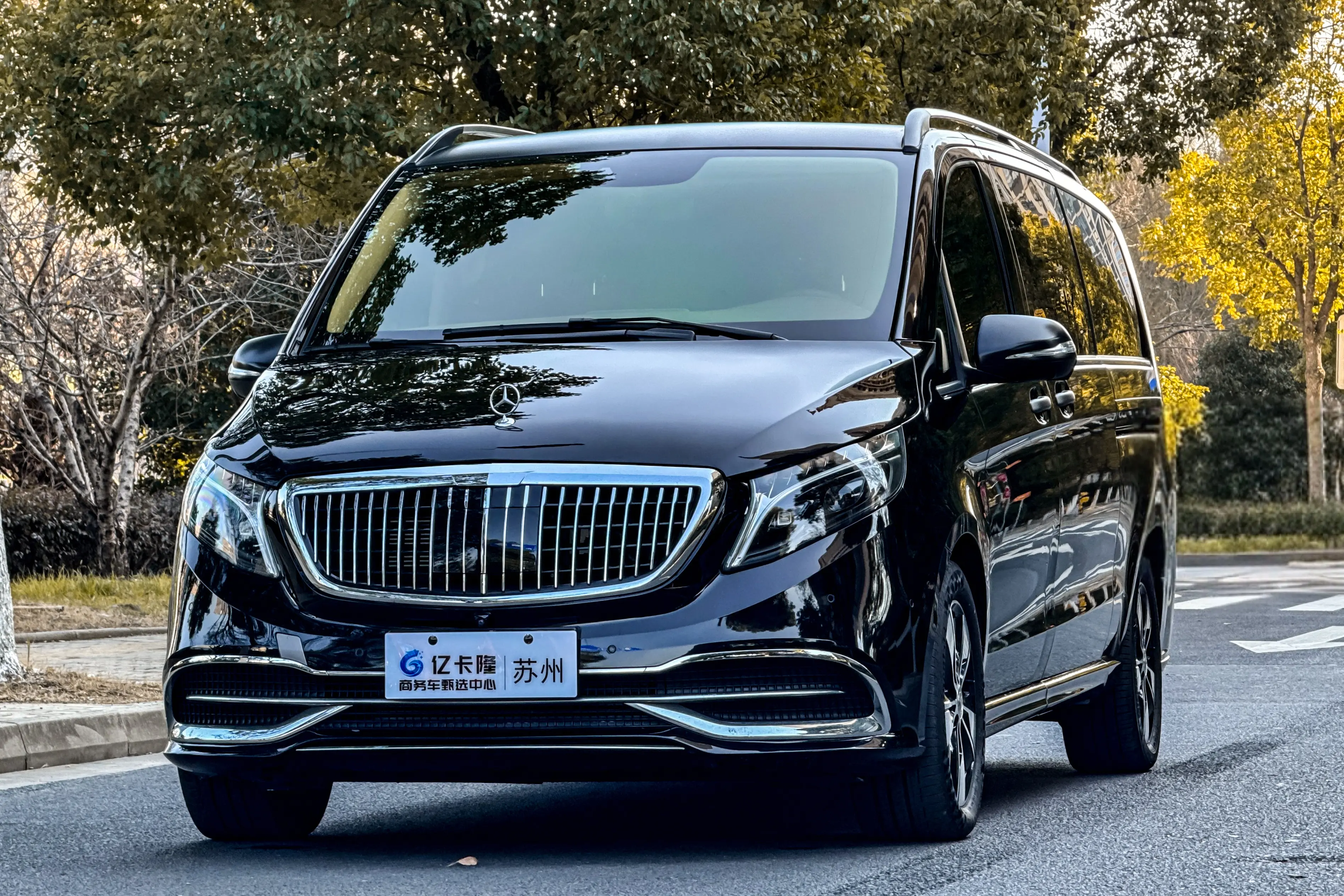 Mercedes-Benz Mercedes Benz V Class  из Китая