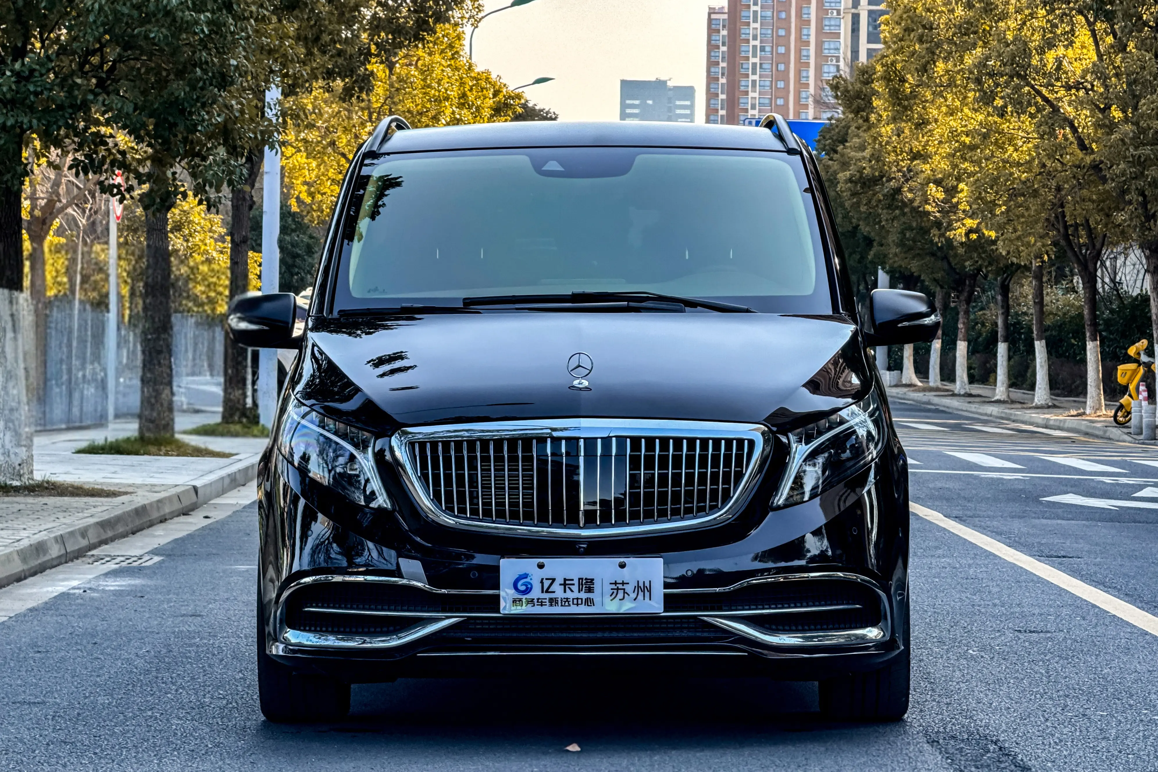 Mercedes-Benz Mercedes Benz V Class  из Китая