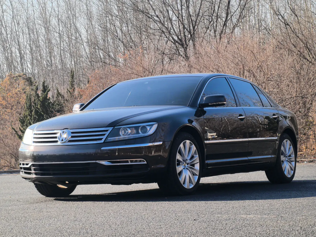 Volkswagen Phaeton / Phideon  из Китая