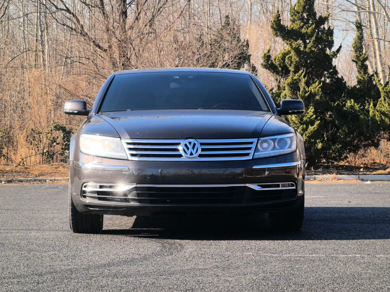 Volkswagen Phaeton / Phideon  из Китая