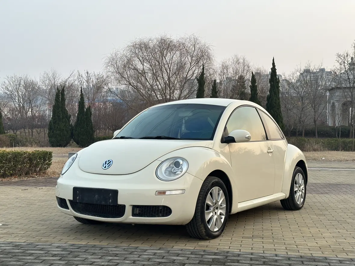 Volkswagen Beetle  из Китая