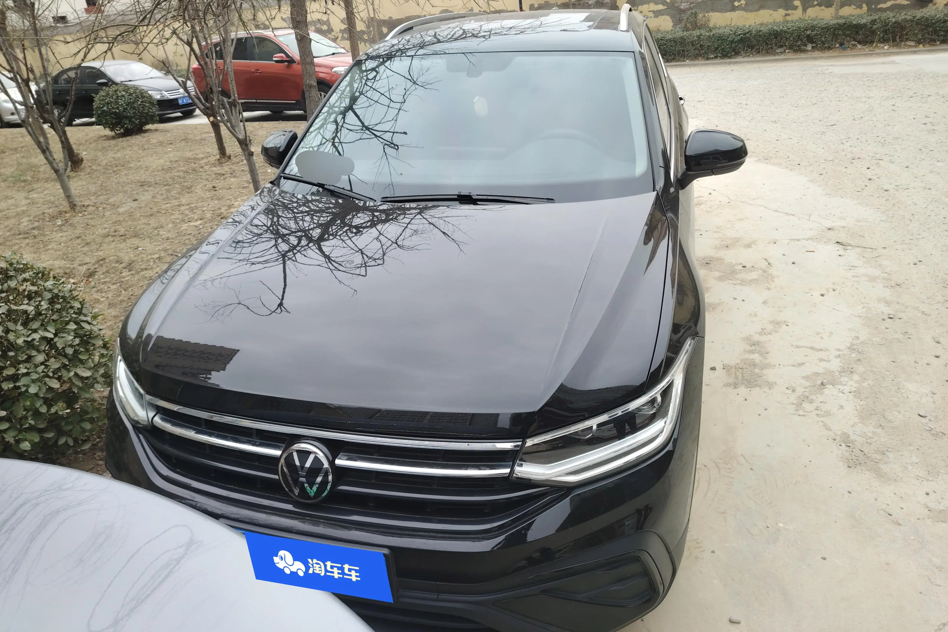 Volkswagen Tiguan L  из Китая