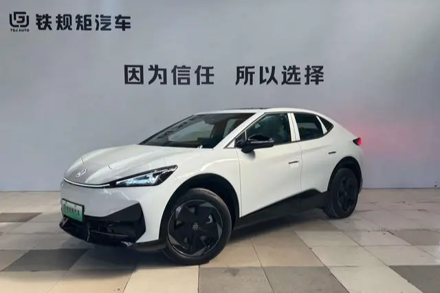 Volkswagen With the crowd06  из Китая