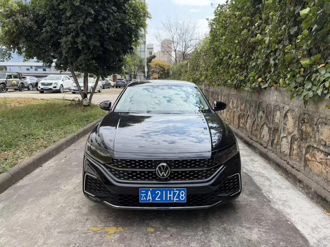 Volkswagen Passat  из Китая