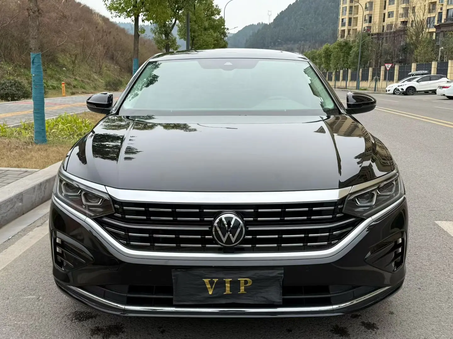 Volkswagen Passat  из Китая