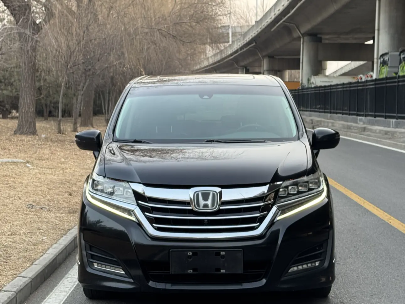 Honda Elysion (Alison)  из Китая