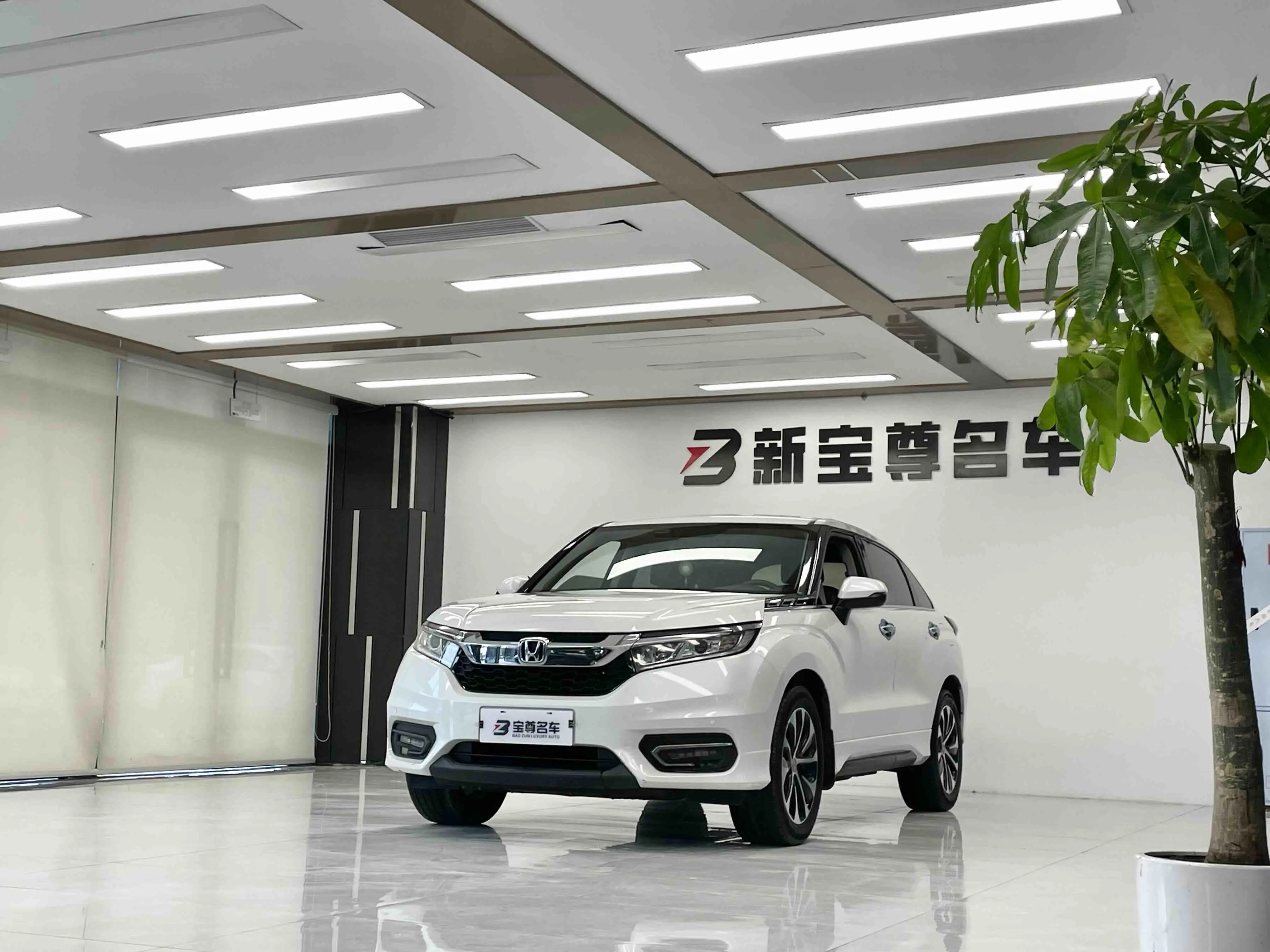 Honda Avancier (Crown Road)  из Китая