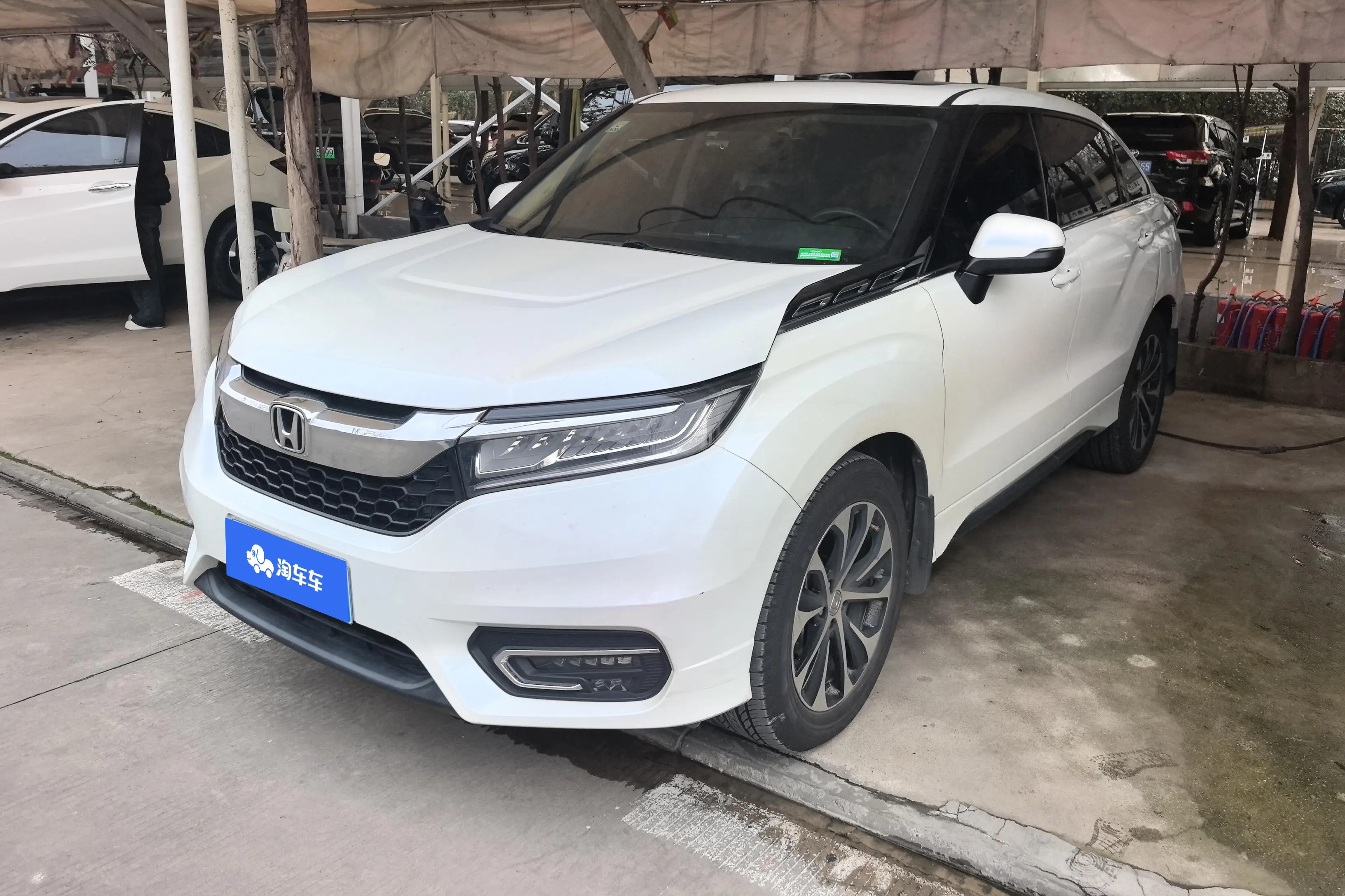 Honda Avancier (Crown Road)  из Китая