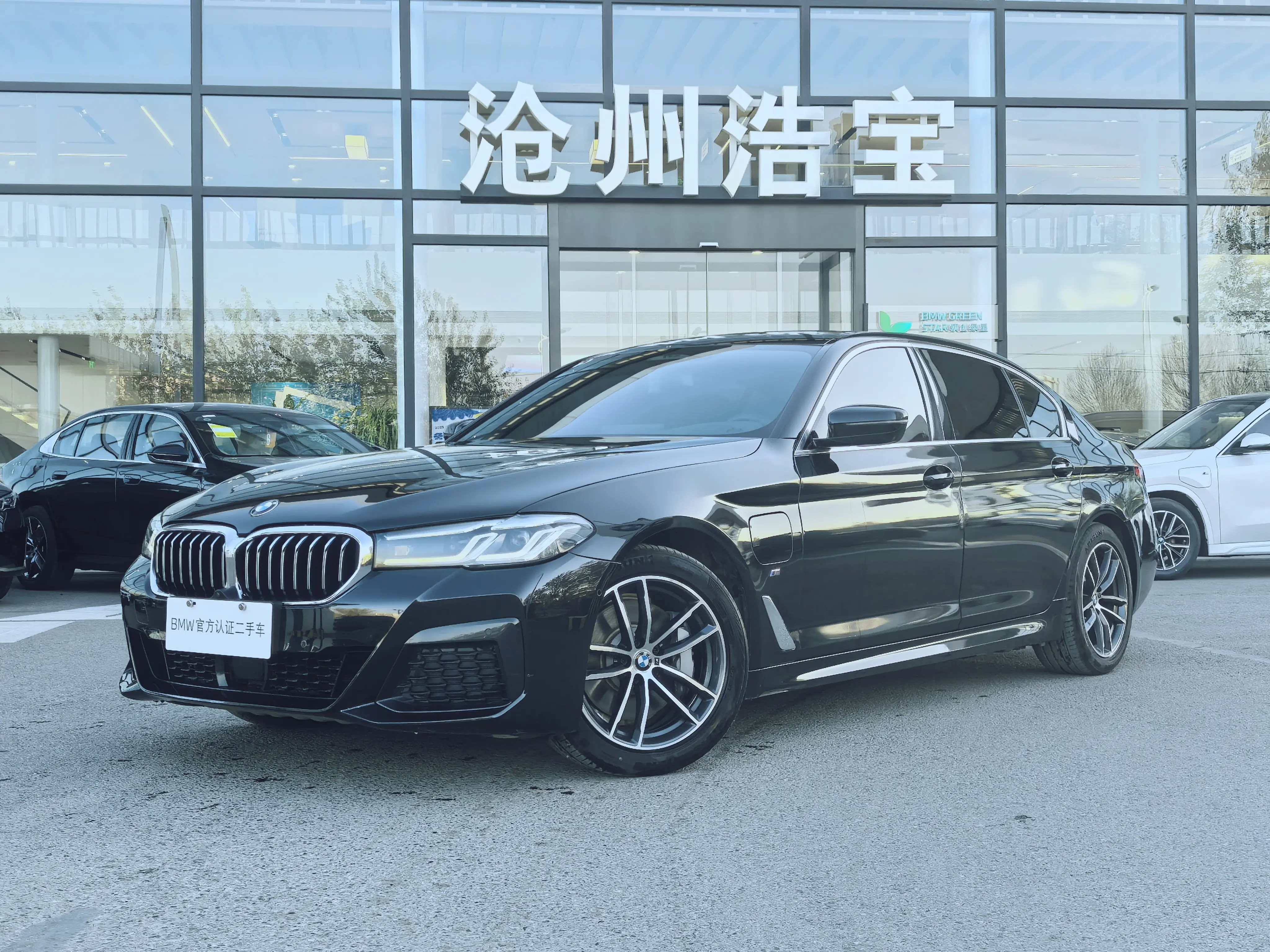 BMW 5 Series PHEV
