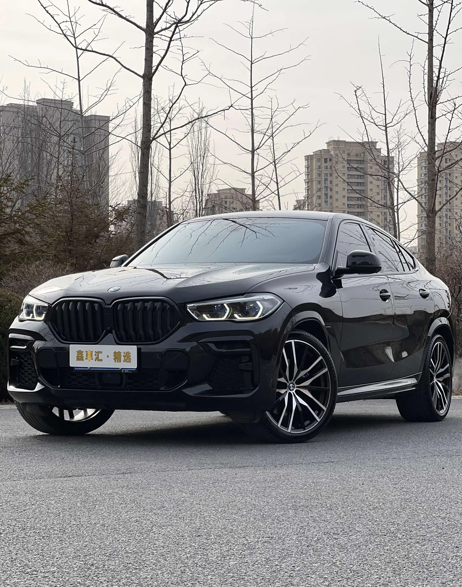 BMW X6
