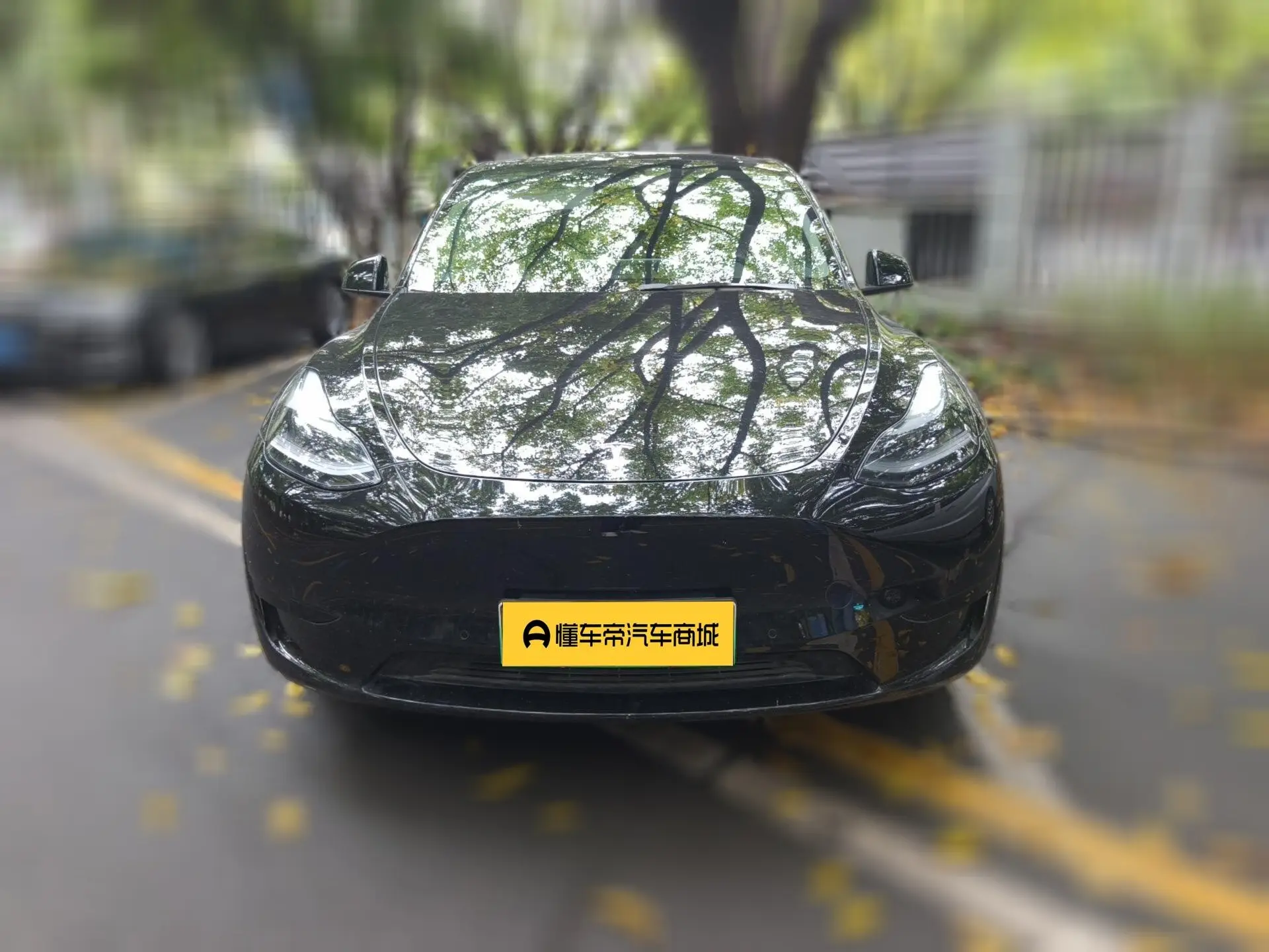 Tesla Model Y  из Китая