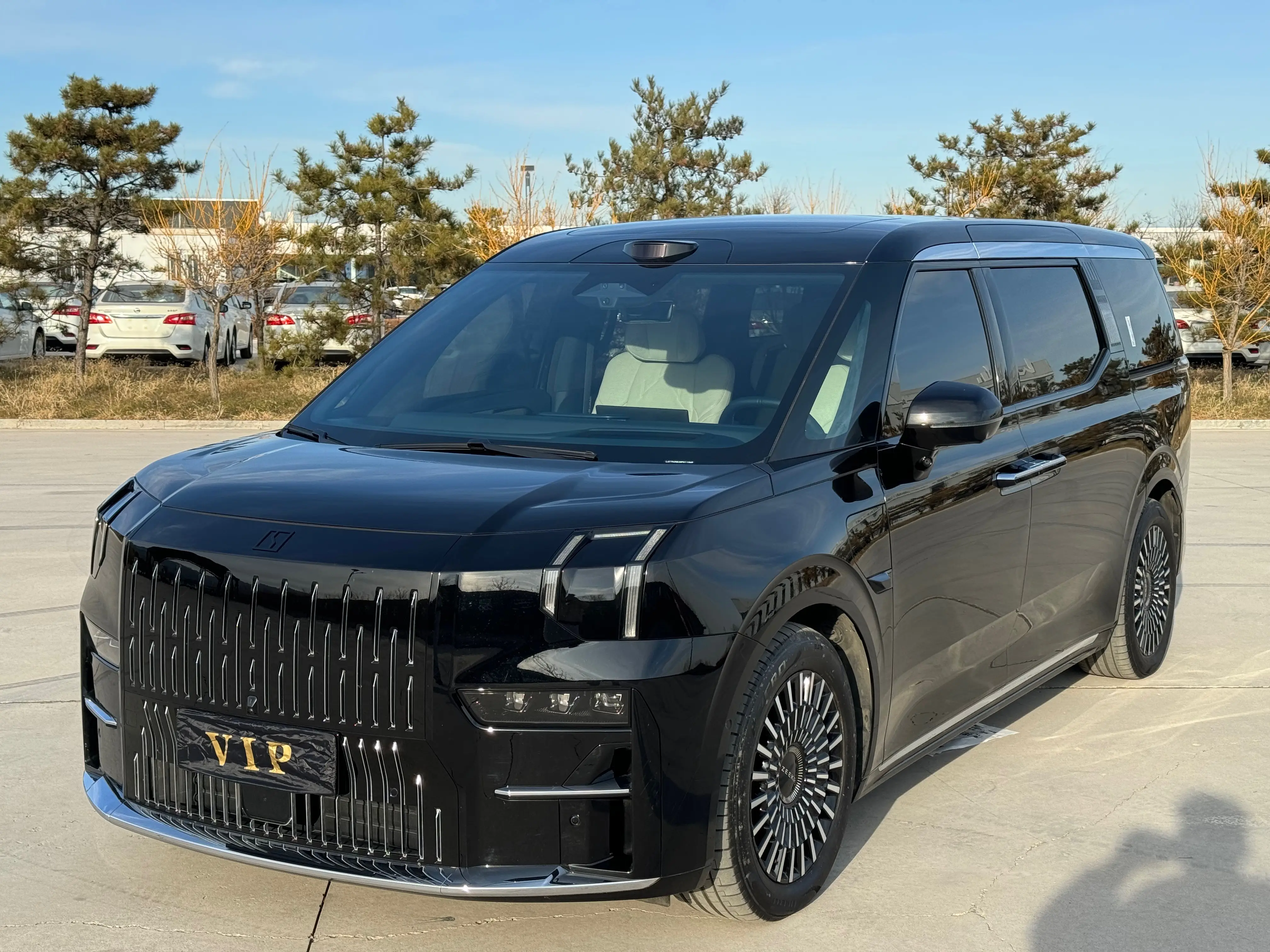 ZEEKR 009  из Китая