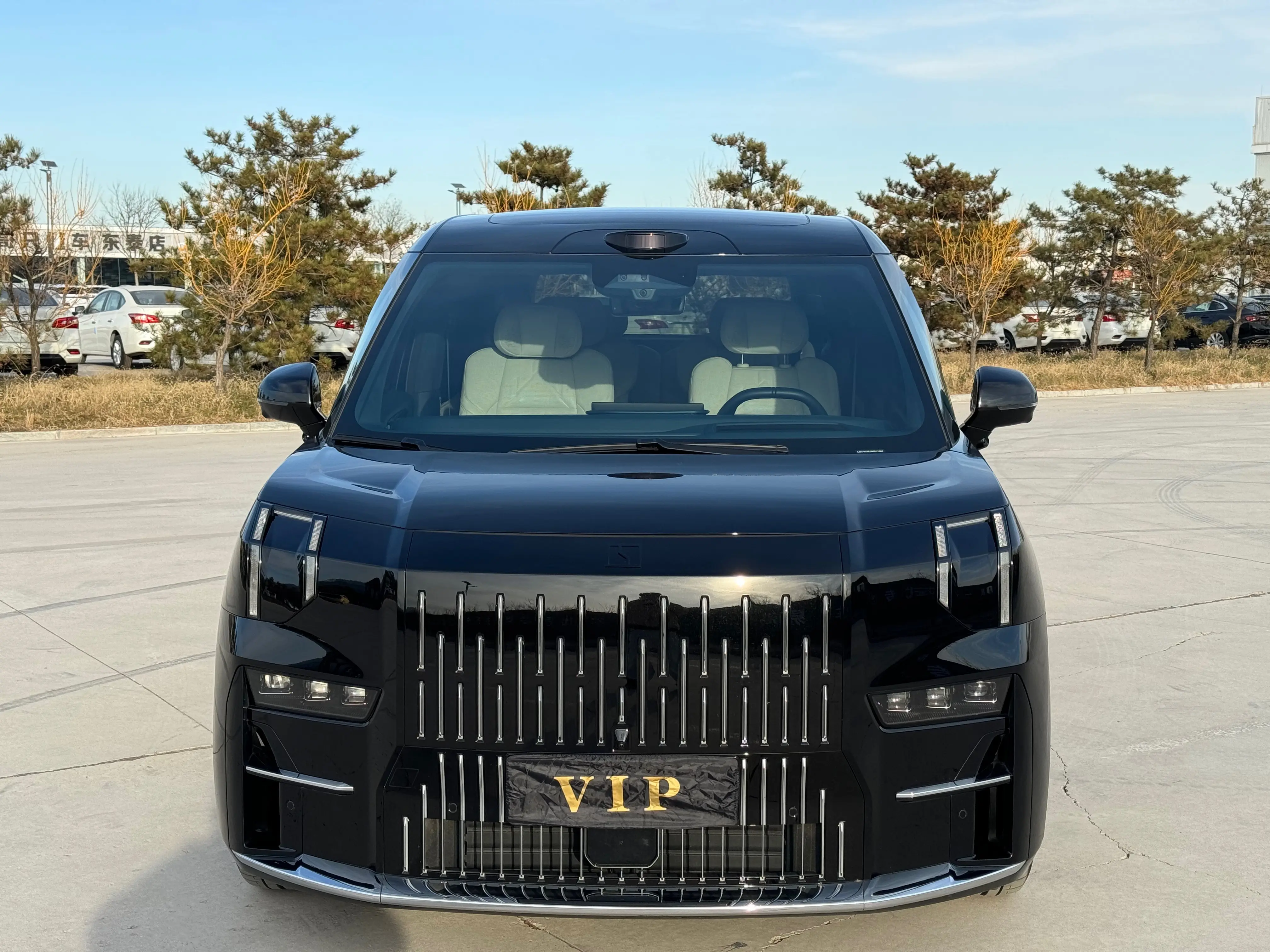 ZEEKR 009  из Китая