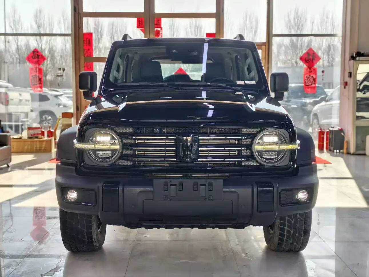 Tank 300  из Китая