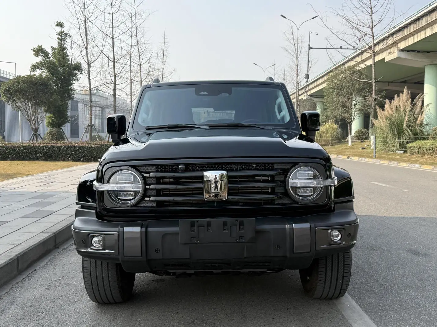 Tank 300  из Китая