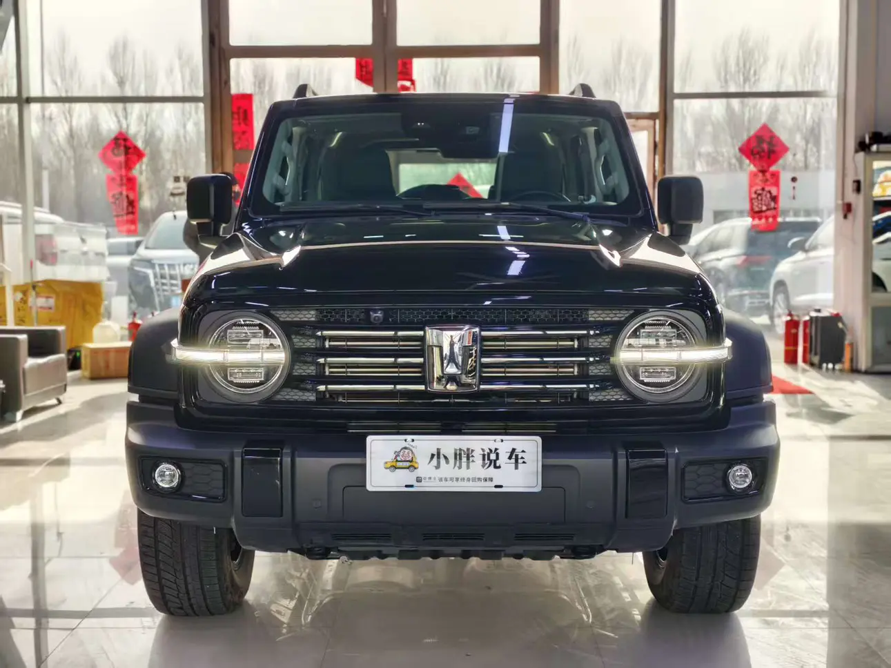 Tank 300  из Китая