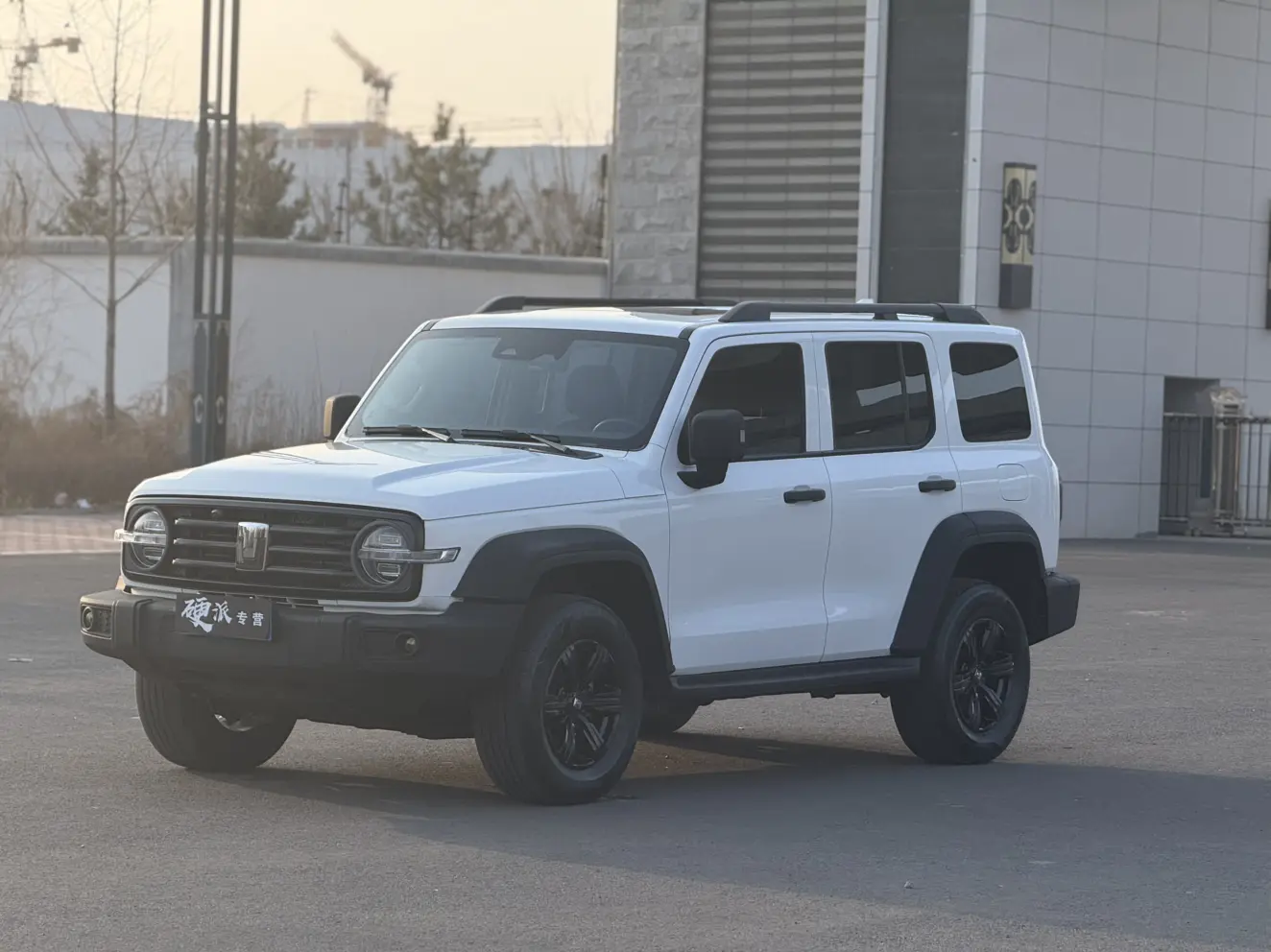 Tank 300  из Китая