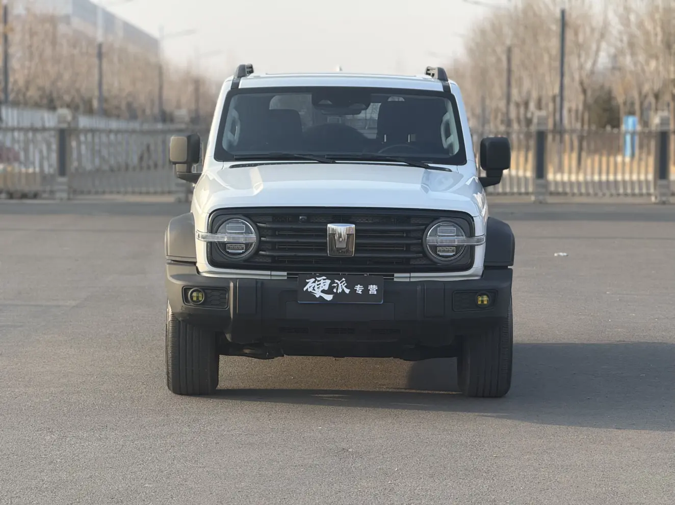 Tank 300  из Китая