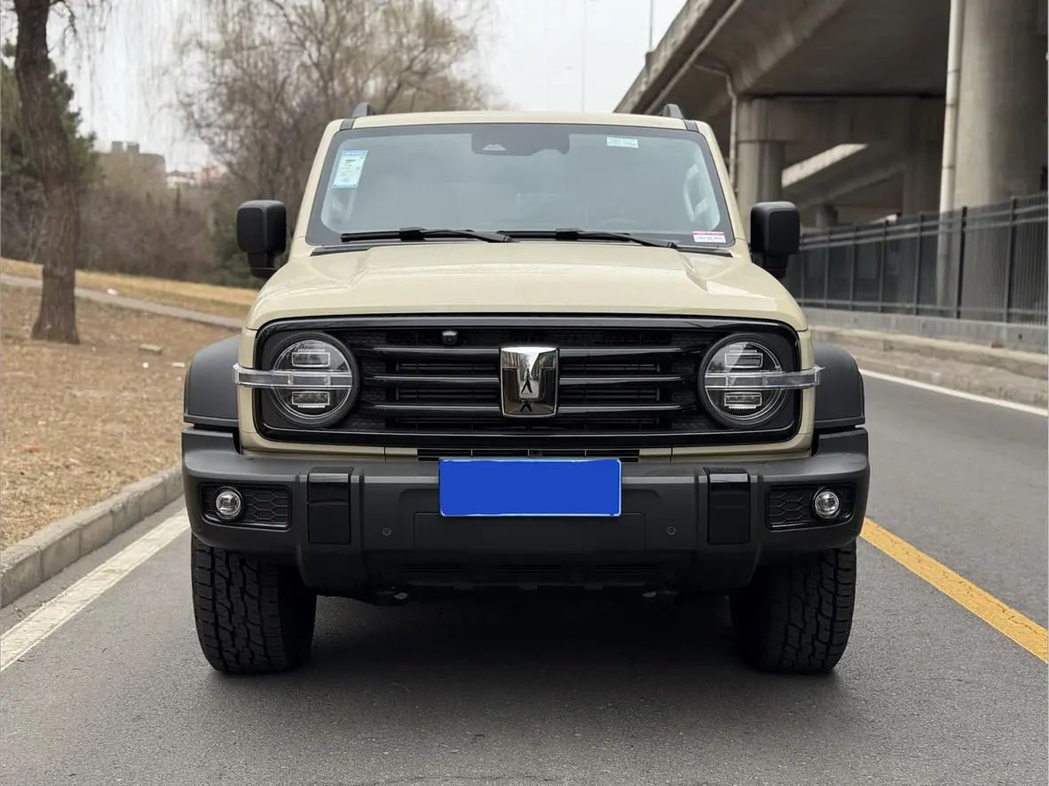 Tank 300  из Китая