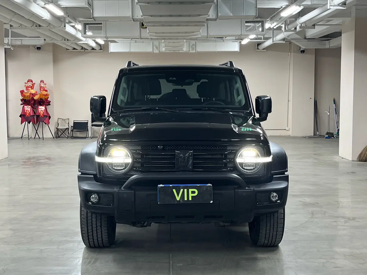 Tank 300  из Китая