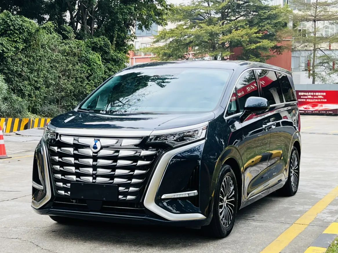 Denza D9 DM  из Китая