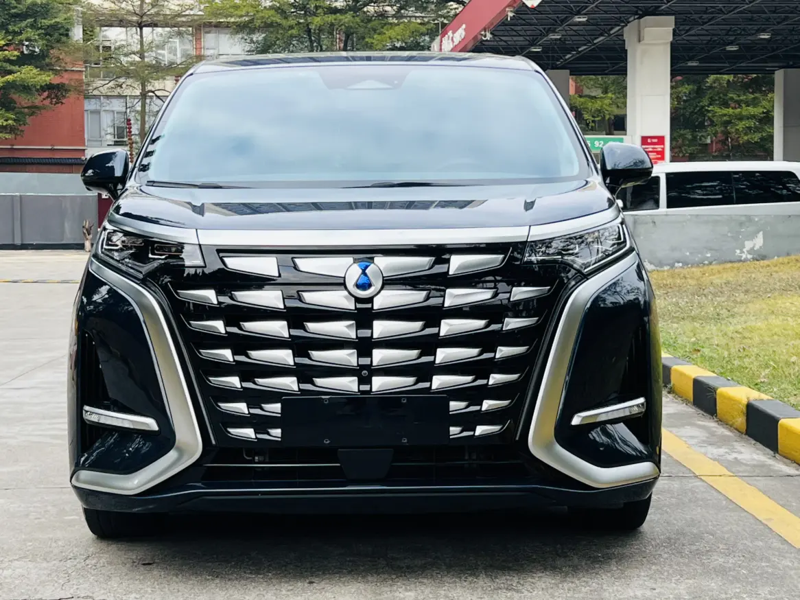 Denza D9 DM  из Китая