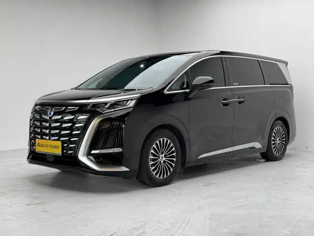 Denza D9 DM  из Китая