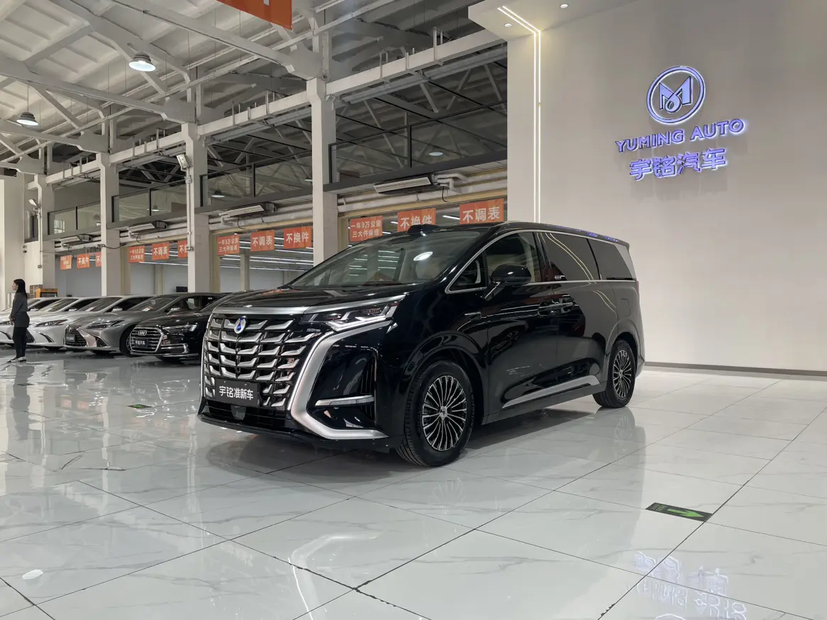 Denza D9 DM  из Китая