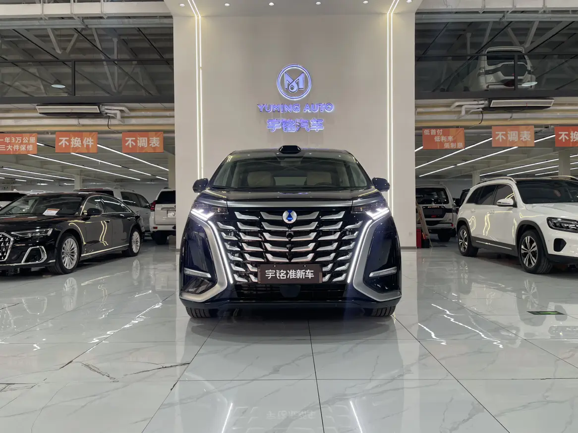 Denza D9 DM  из Китая