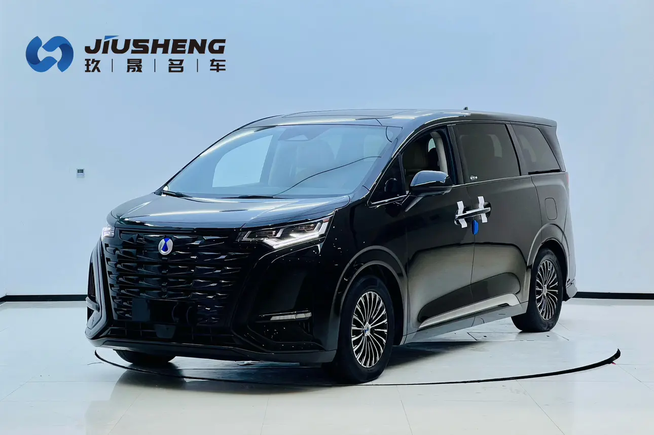 Denza D9 DM  из Китая