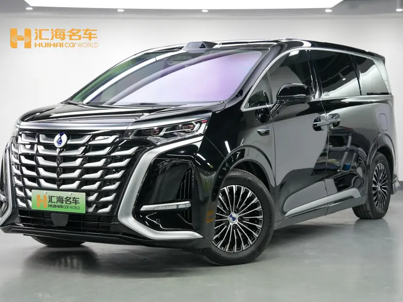 Denza D9 DM  из Китая