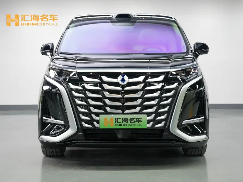 Denza D9 DM  из Китая