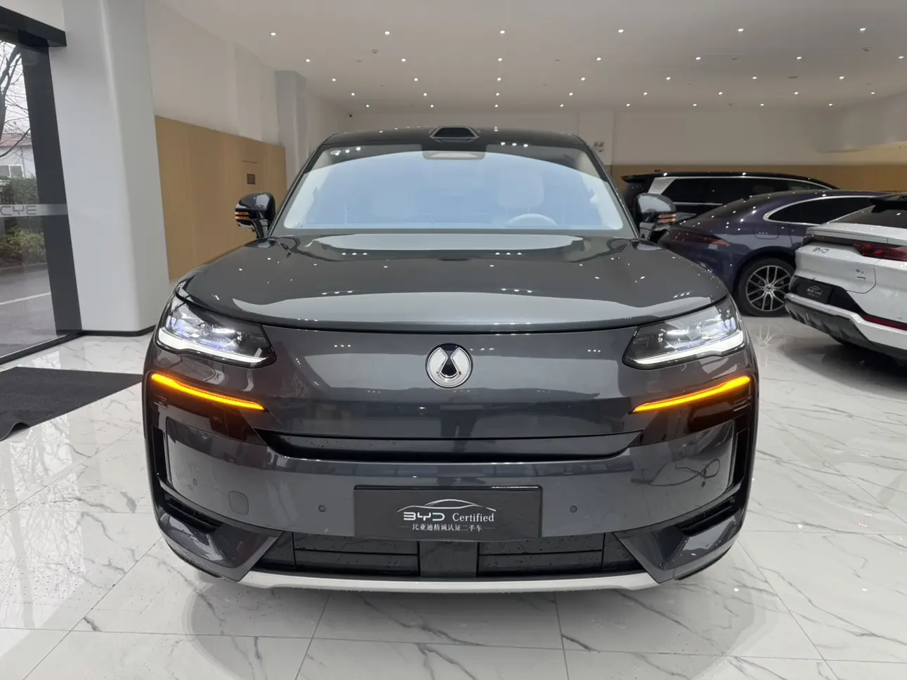 Denza Tengzhong N9 DM  из Китая