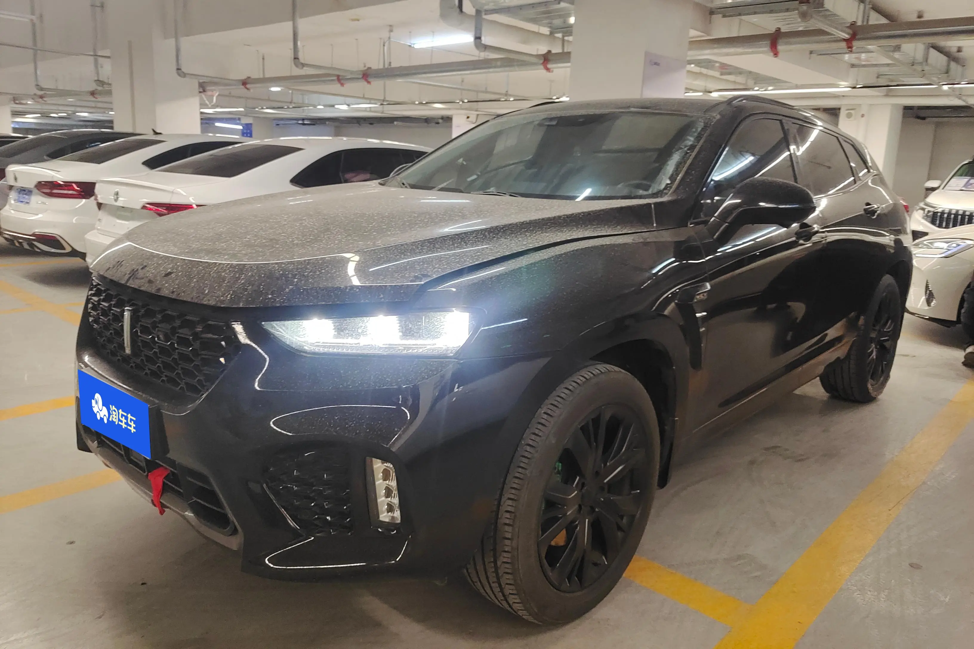Wey Wei brand VV7