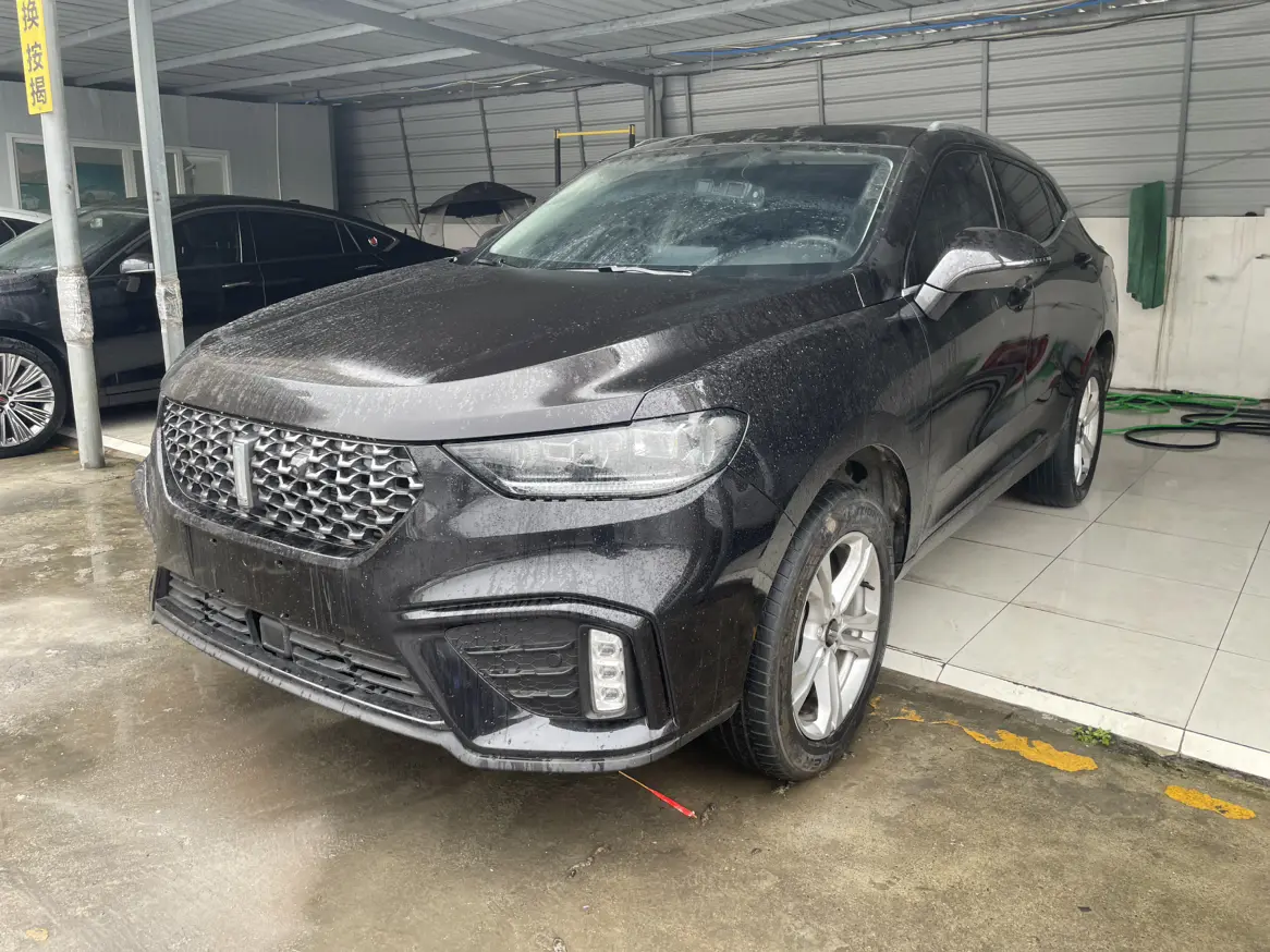 Wey Wei brand VV5