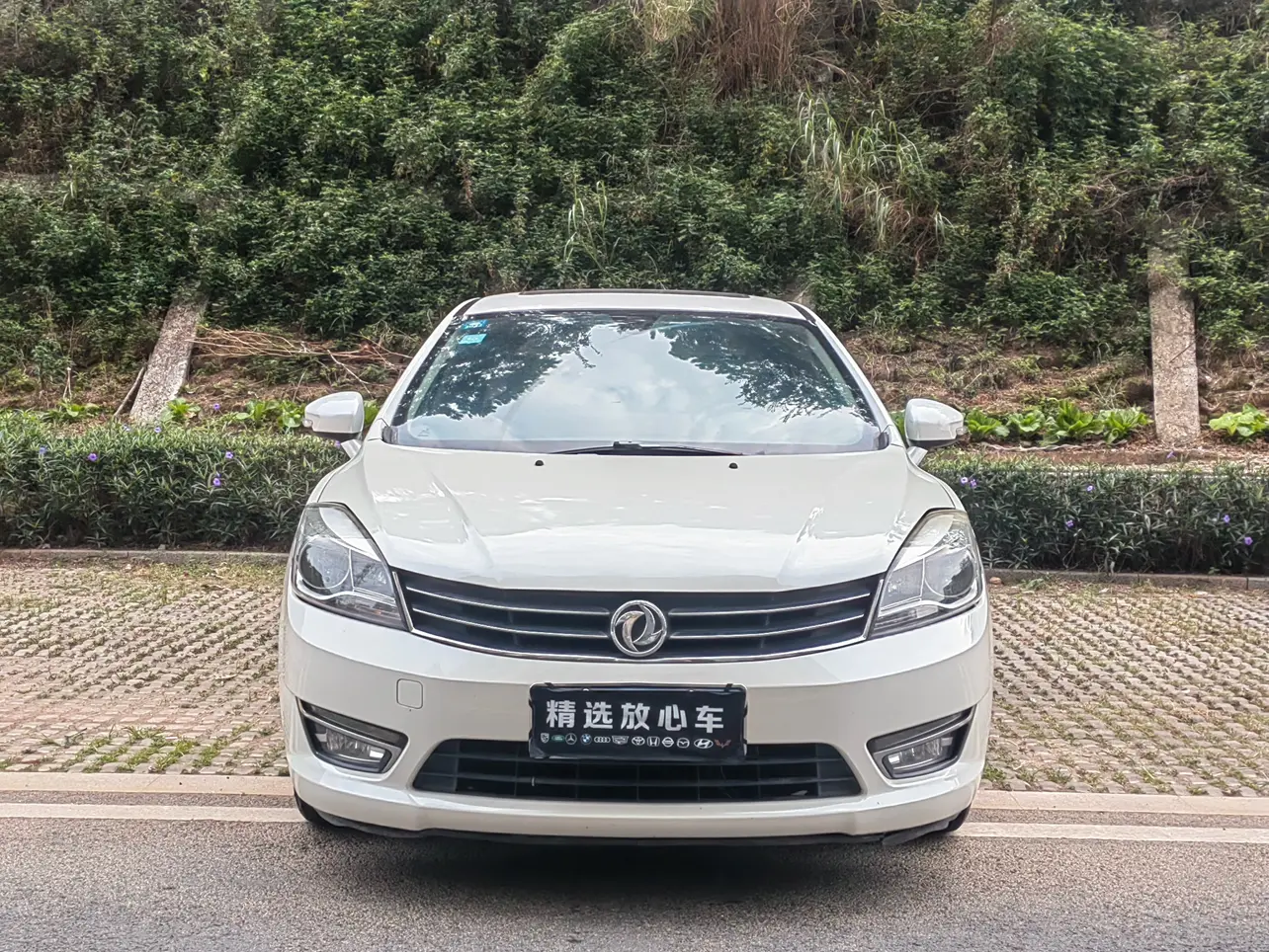 Dongfeng Fengshen L60  из Китая